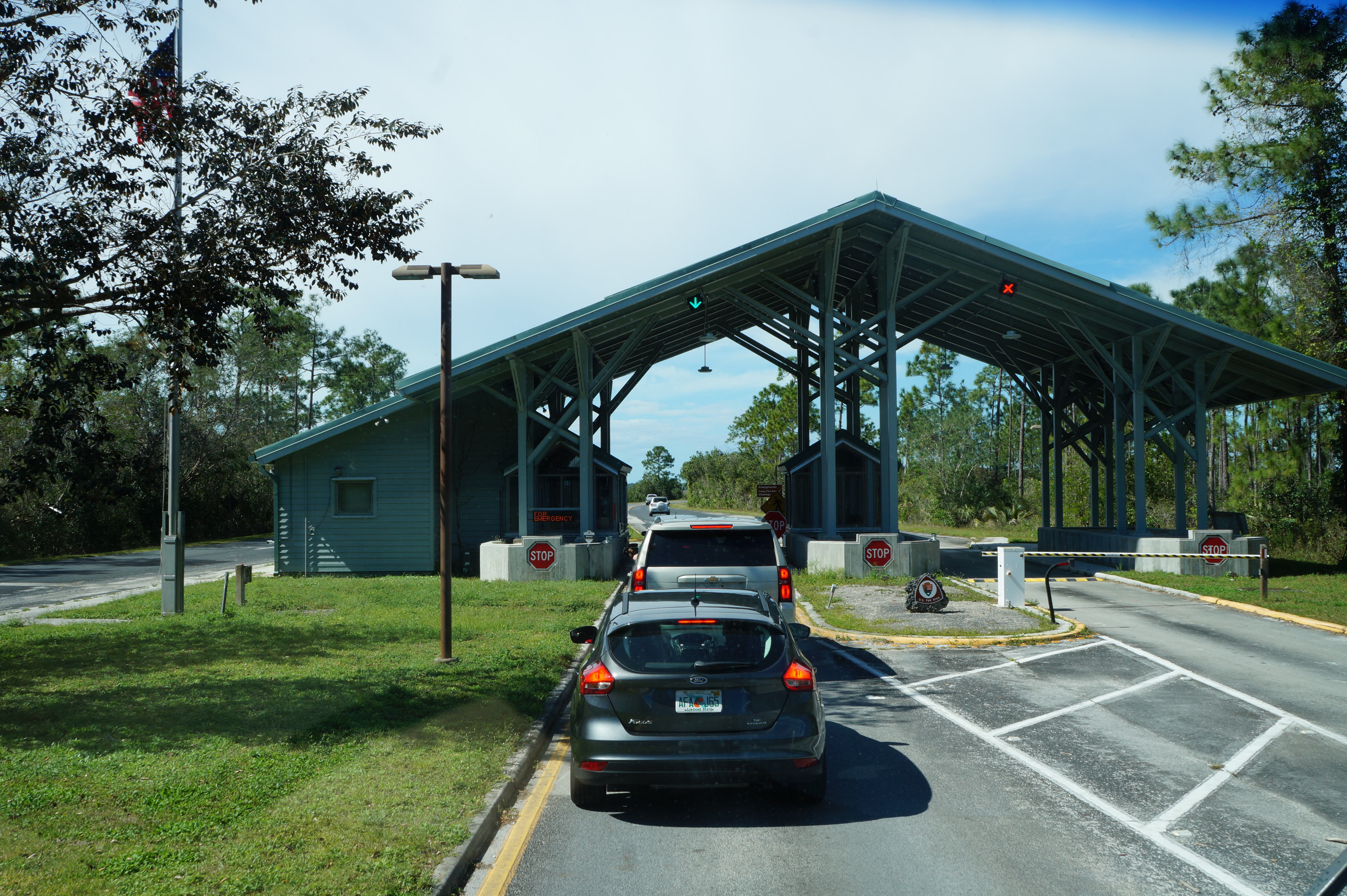 Everglades Feb 8. 2016 006