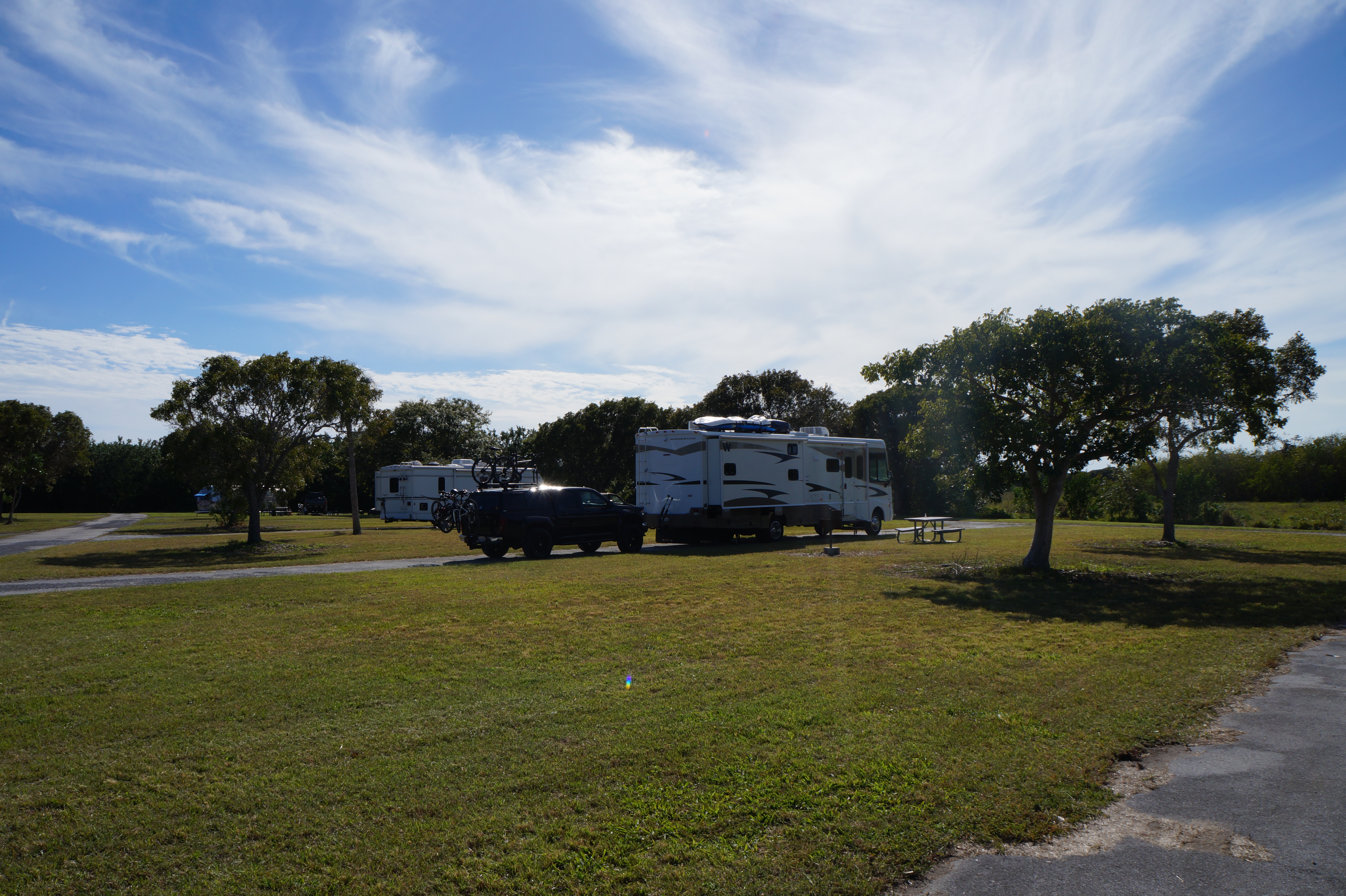Everglades Feb 8. 2016 015