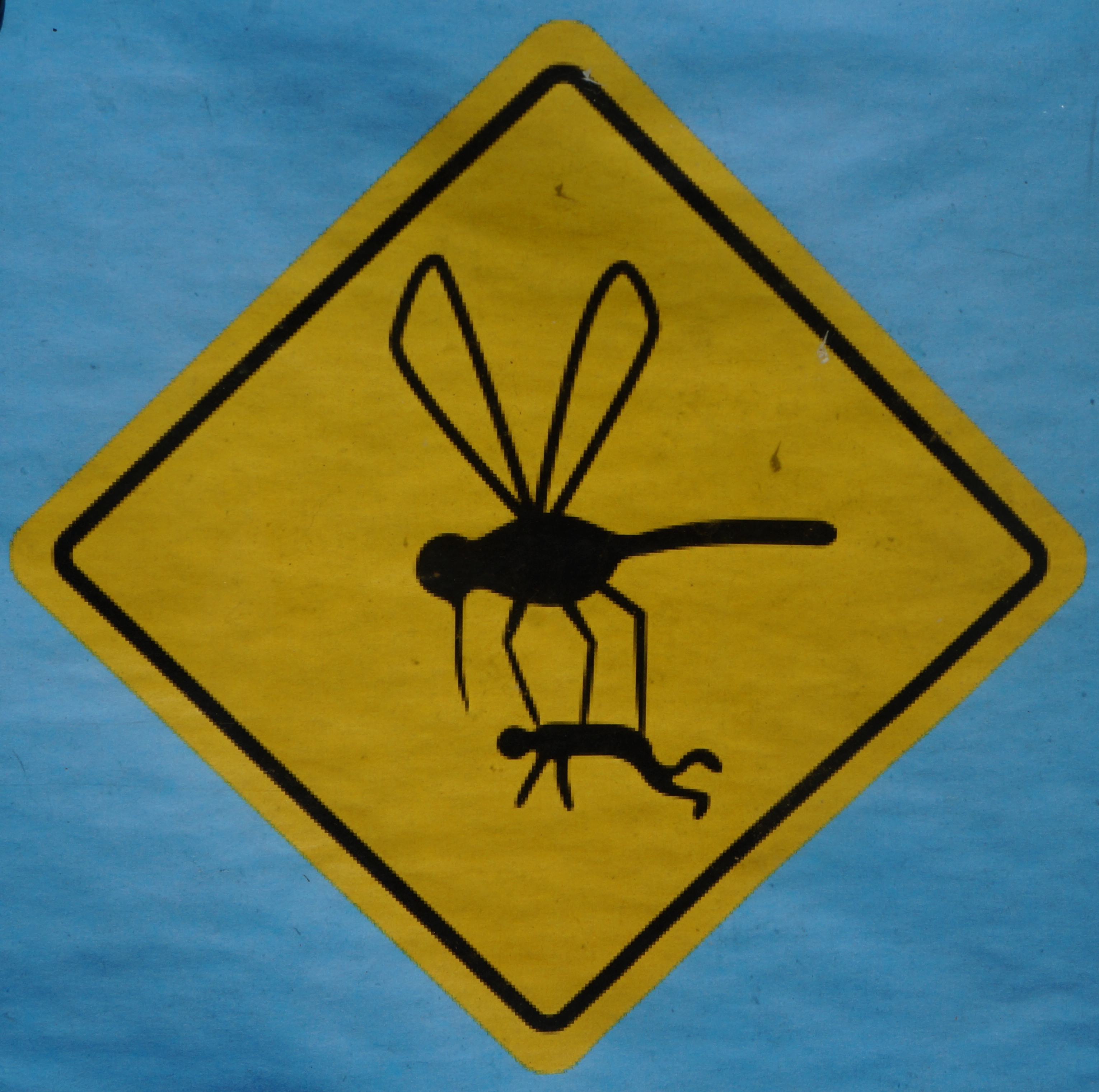 Everglades Feb 8. 2016 020