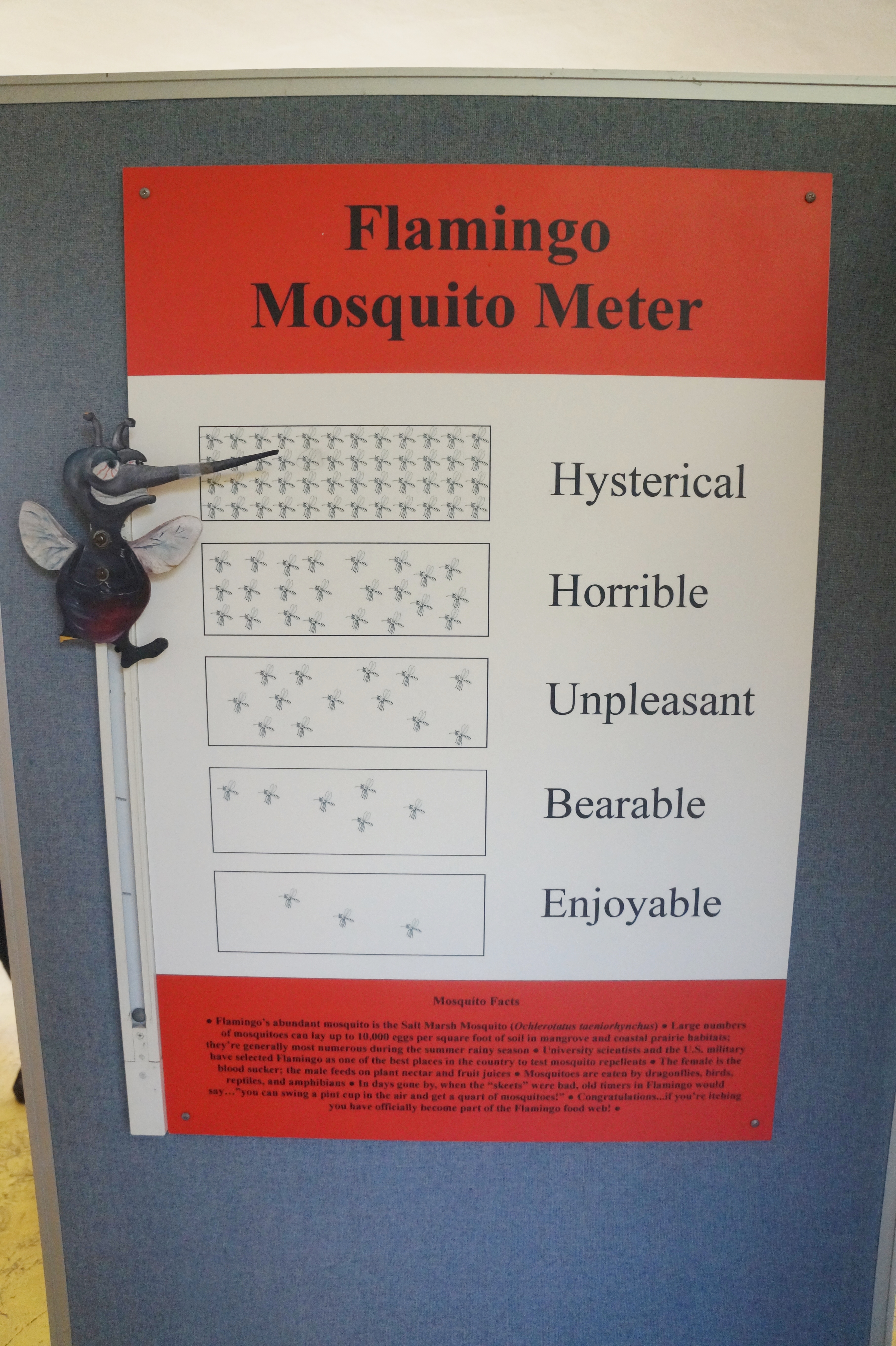 Everglades Feb 8. 2016 034