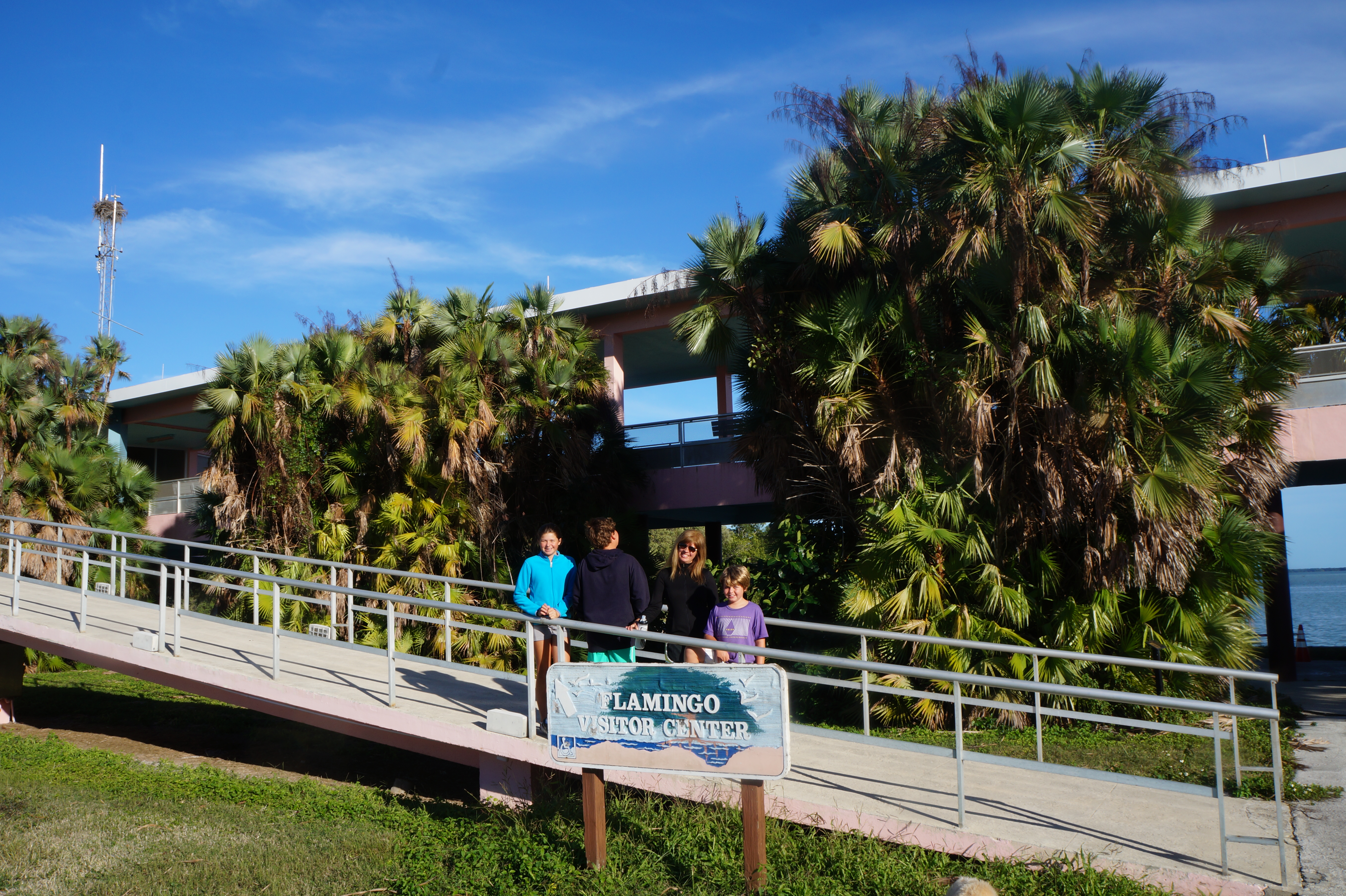 Everglades Feb 8. 2016 037