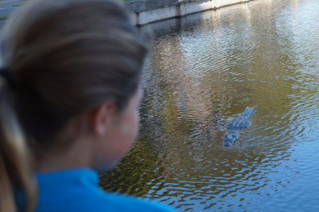 Everglades Feb 8. 2016 044