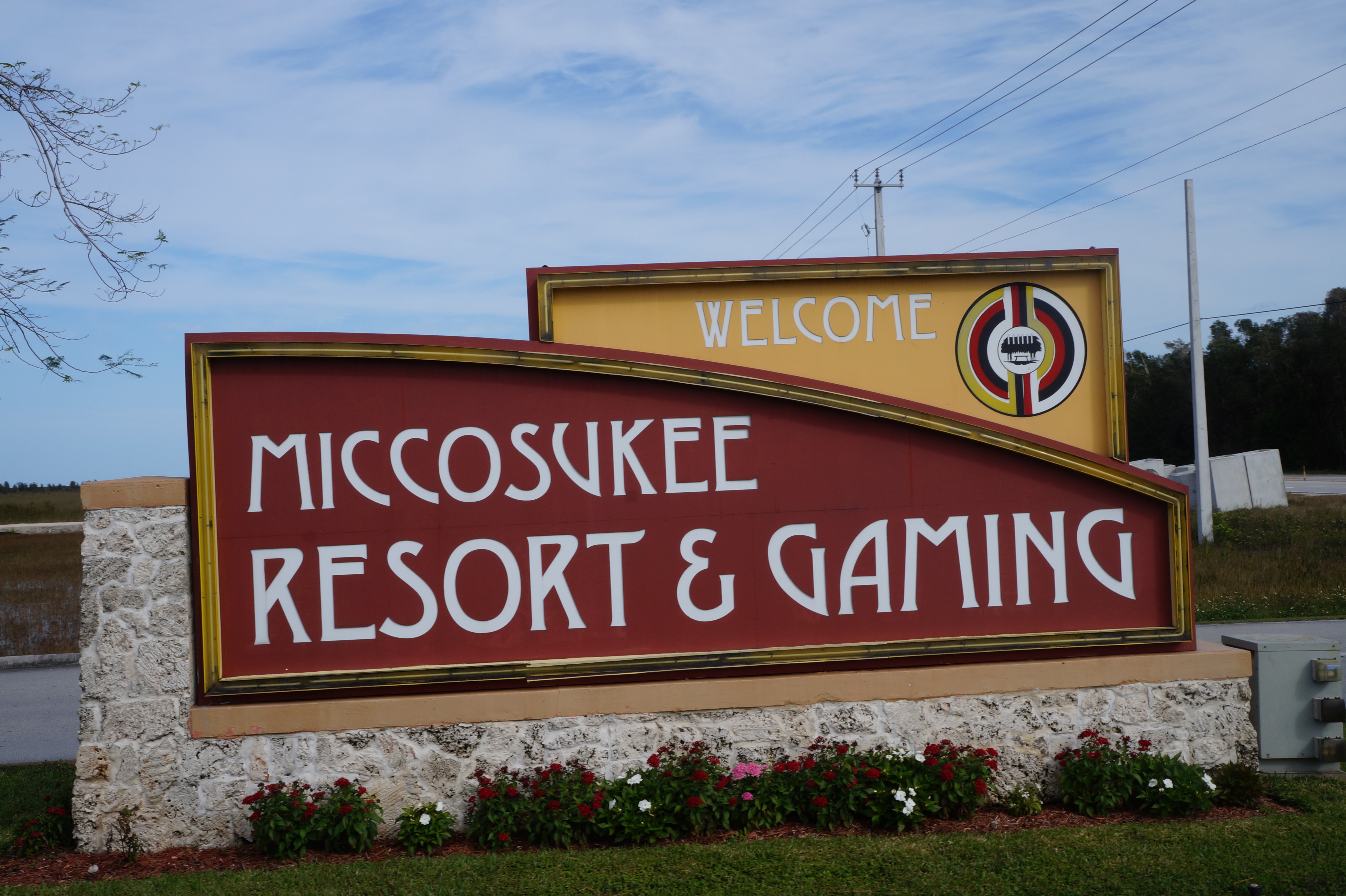 Everglades Feb 8. 2016 097