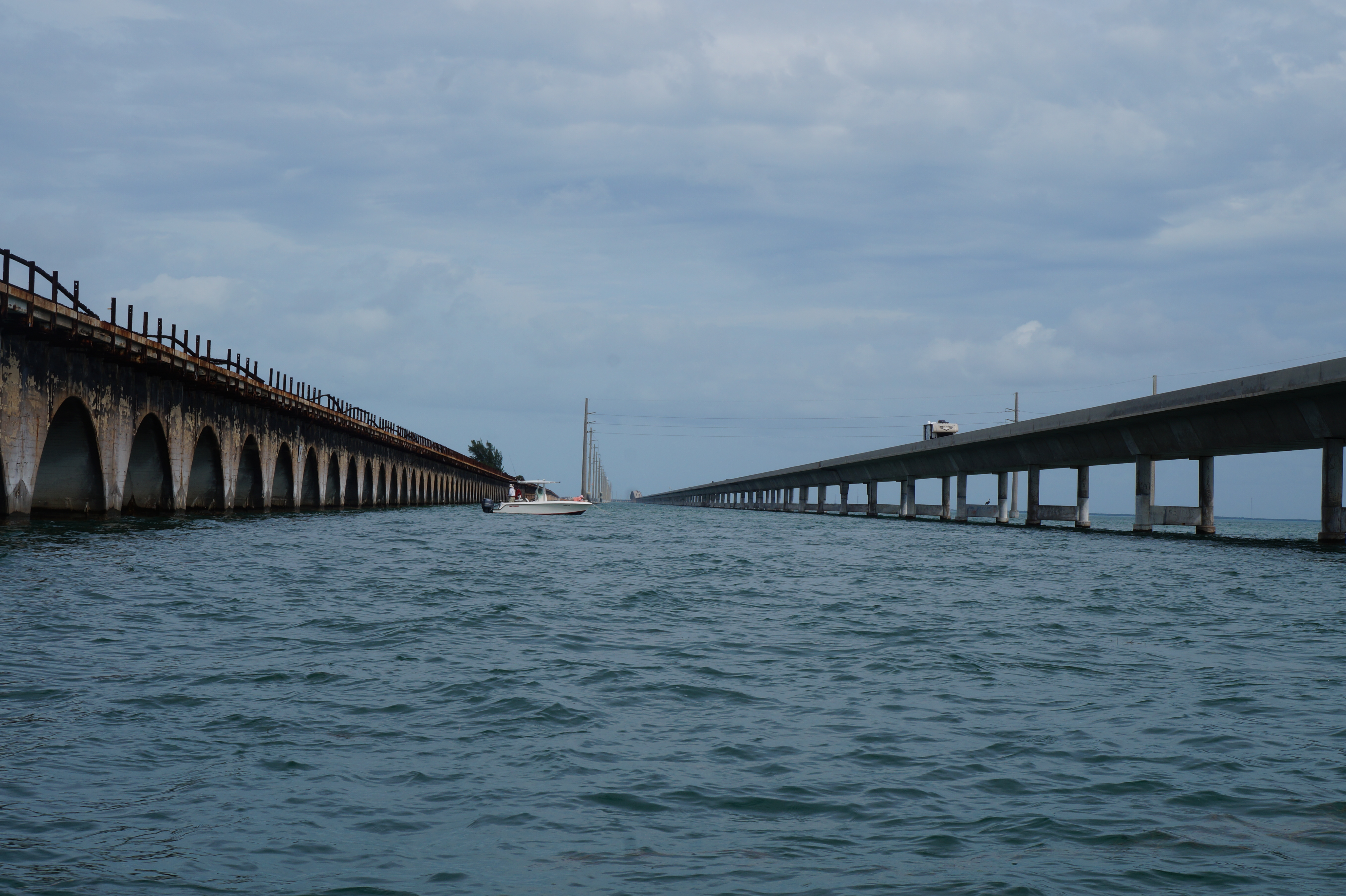 Fishing the 7 mile bridge 1.31.16 007