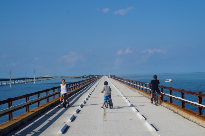 Florida 1.11.16 017 - Copy