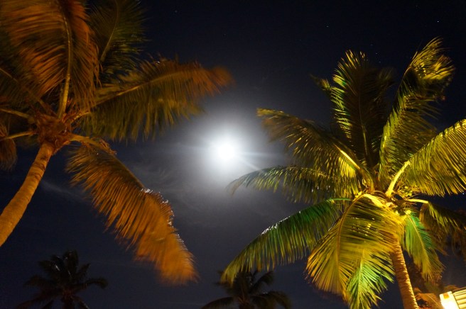 Florida Dec. 15 Jan 16 002