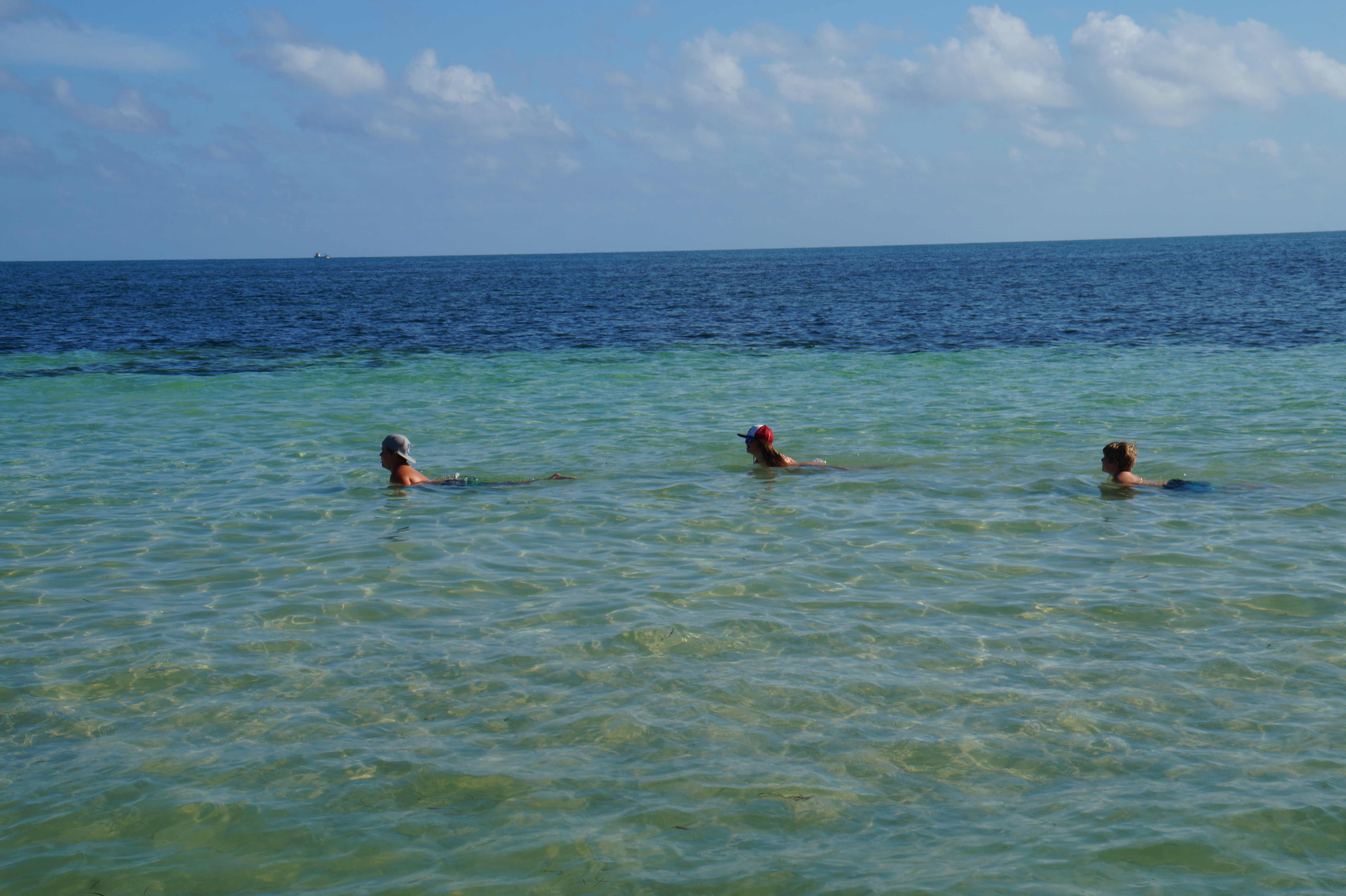 Florida Dec. 15 Jan 16 114