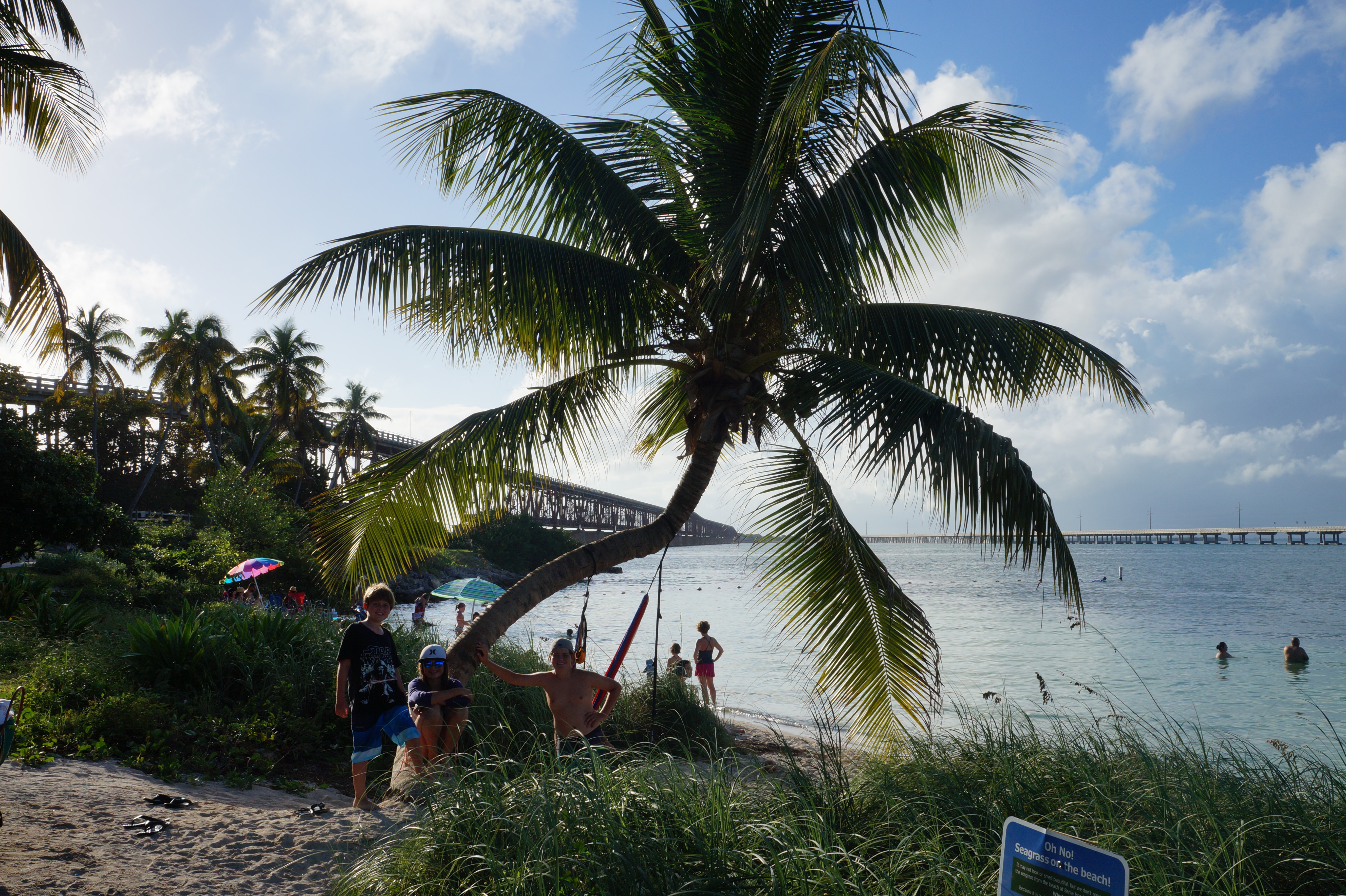 Florida Dec. 15 Jan 16 150