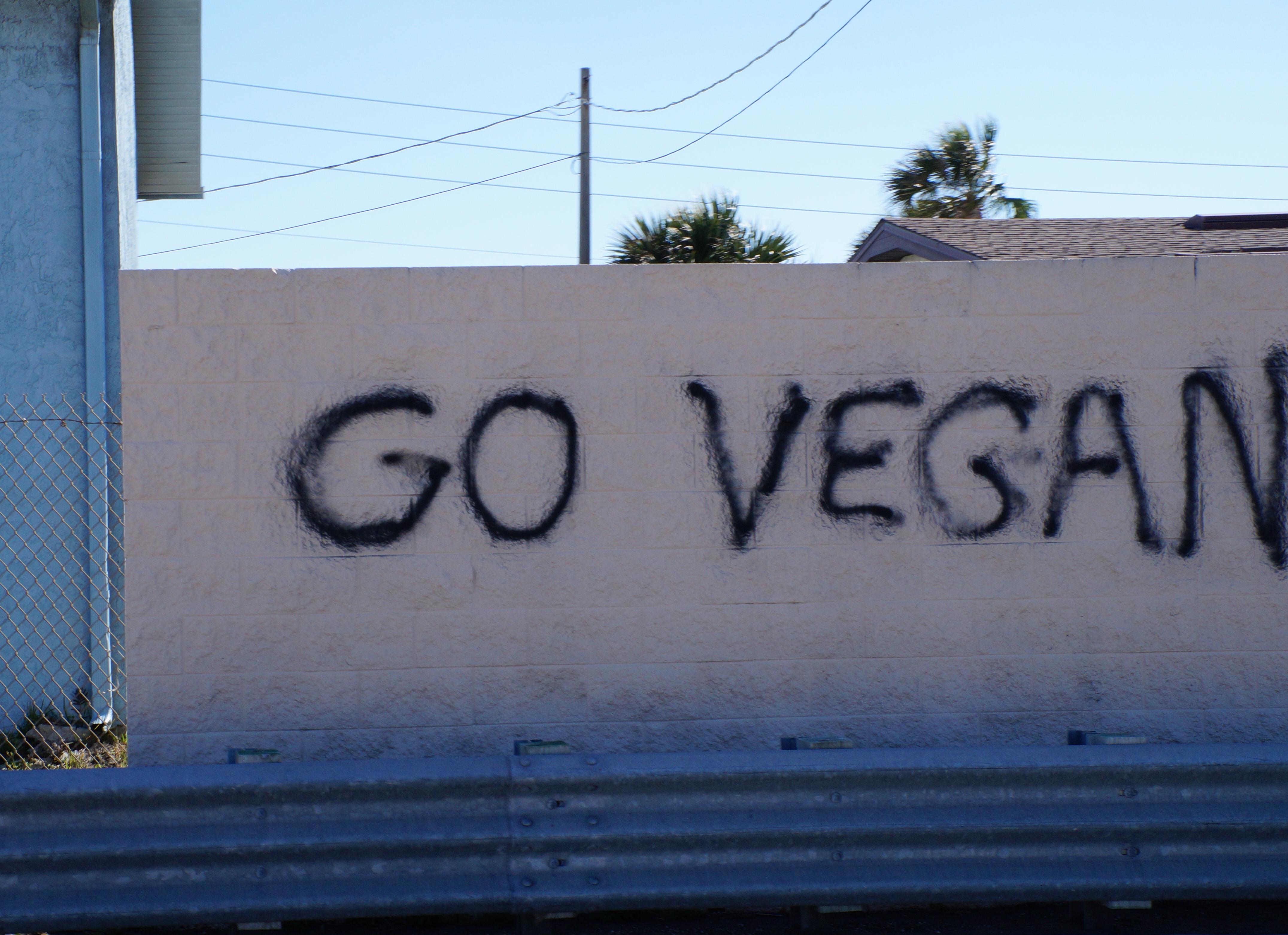 Cape Canaveral, Ft Pierce, Destin 2.29.16 003