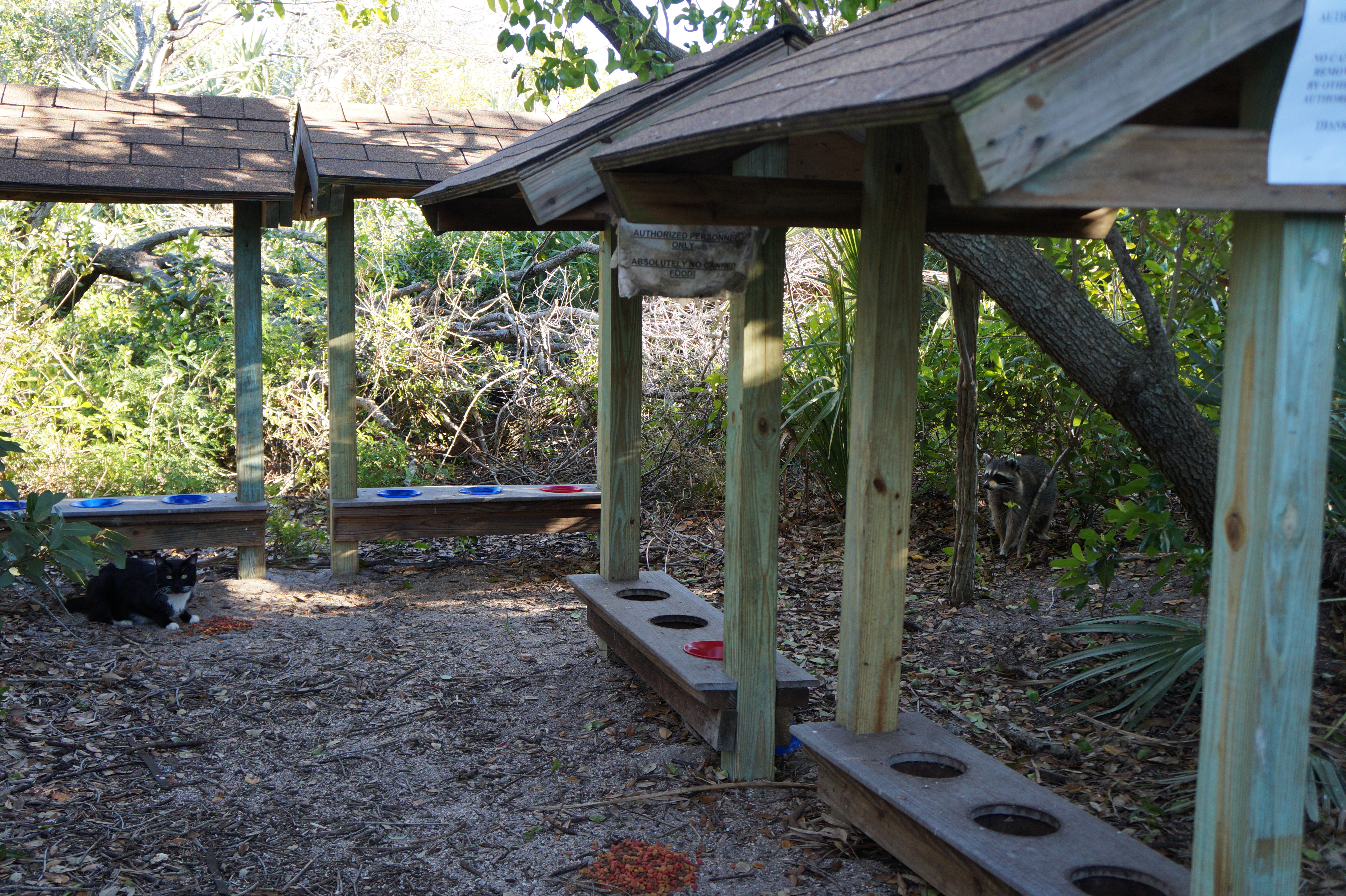 Cape Canaveral, Ft Pierce, Destin 2.29.16 025