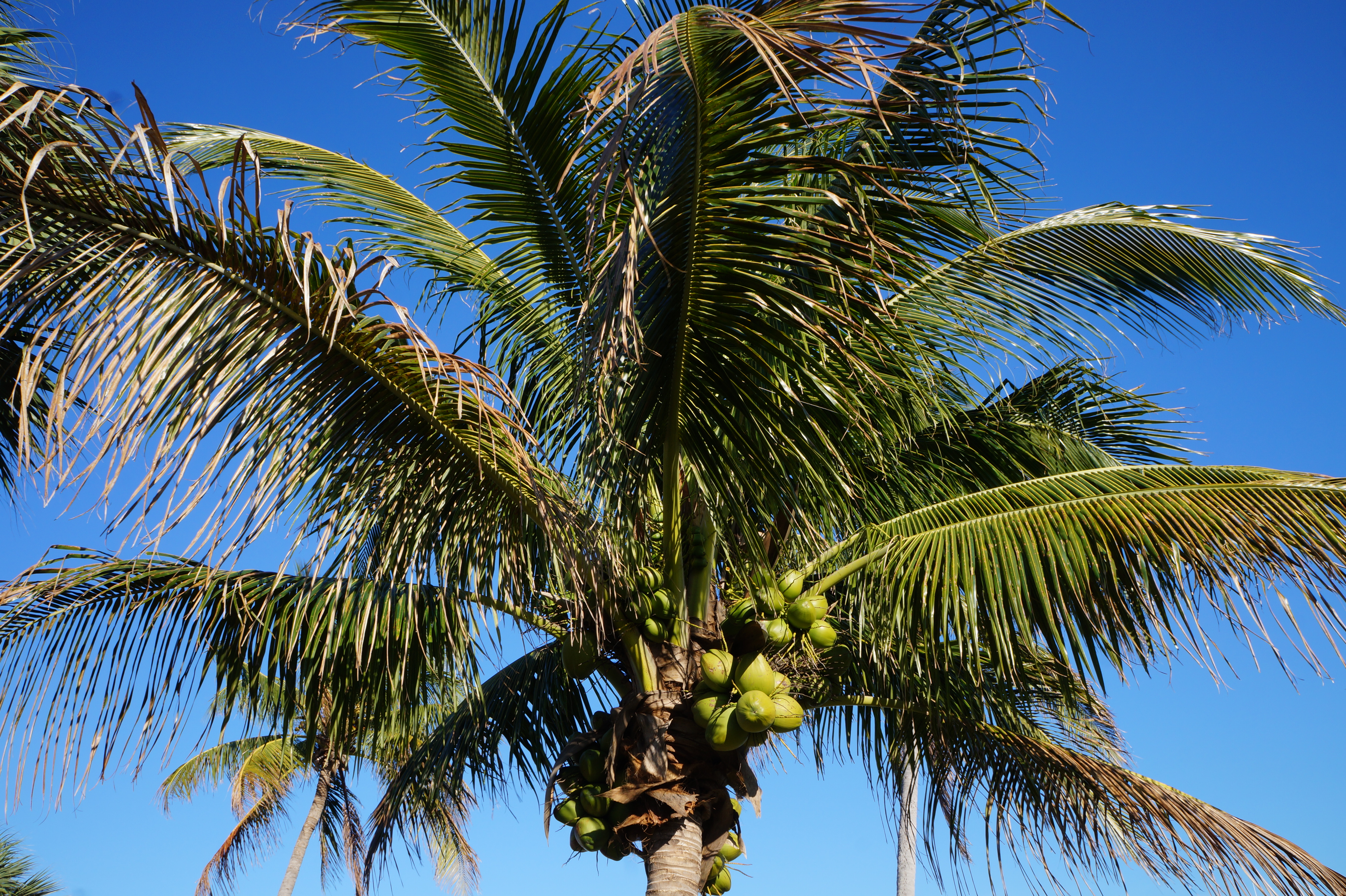 Cape Canaveral, Ft Pierce, Destin 2.29.16 069