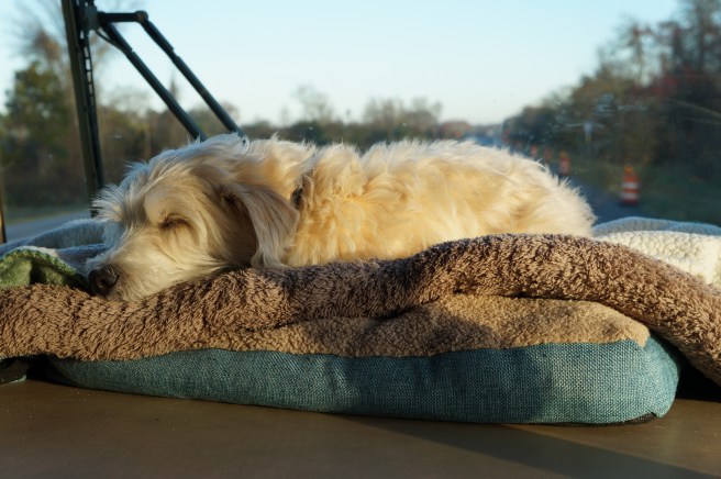 Cape Canaveral, Ft Pierce, Destin 2.29.16 104