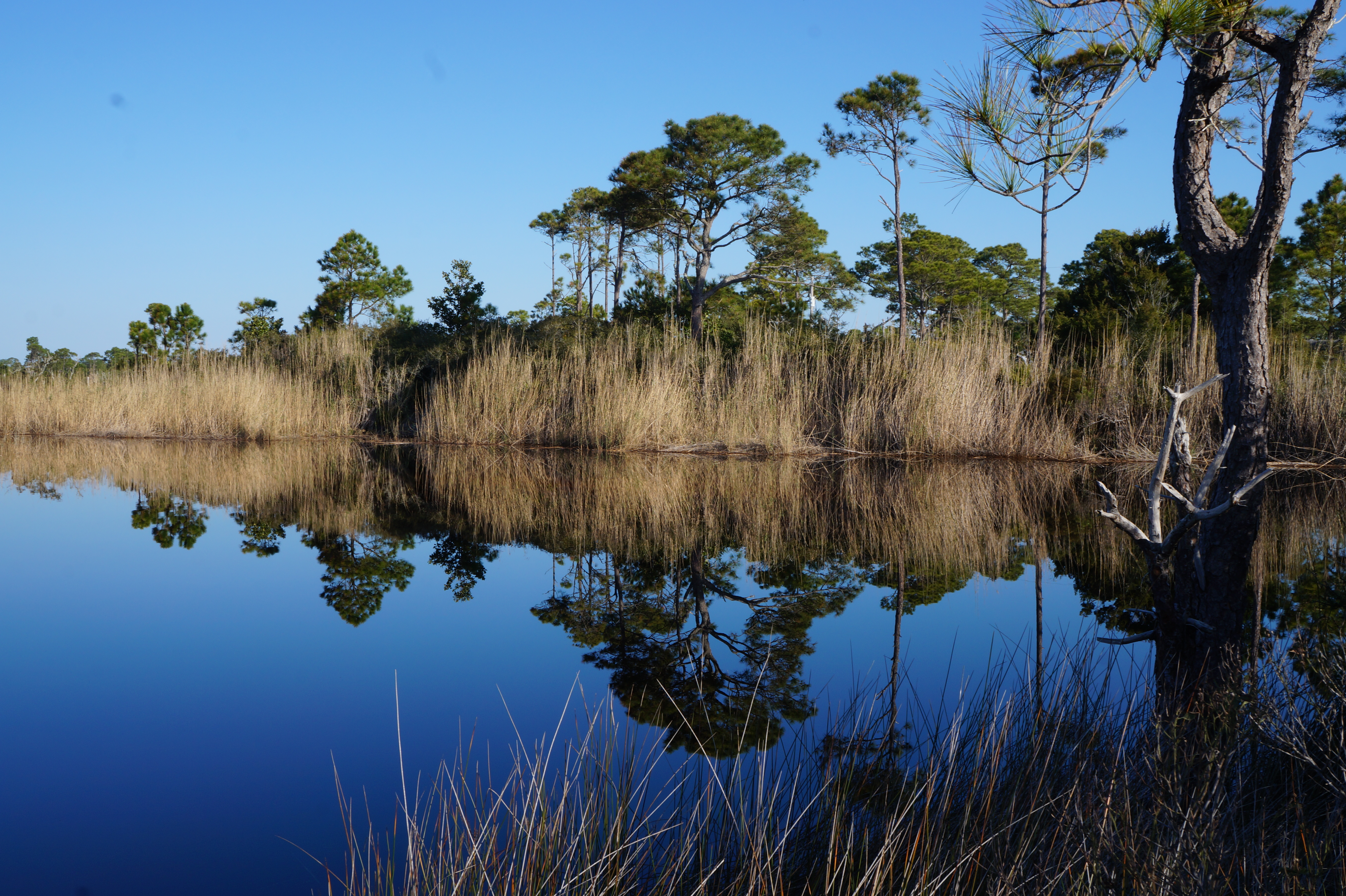 Cape Canaveral, Ft Pierce, Destin 2.29.16 118