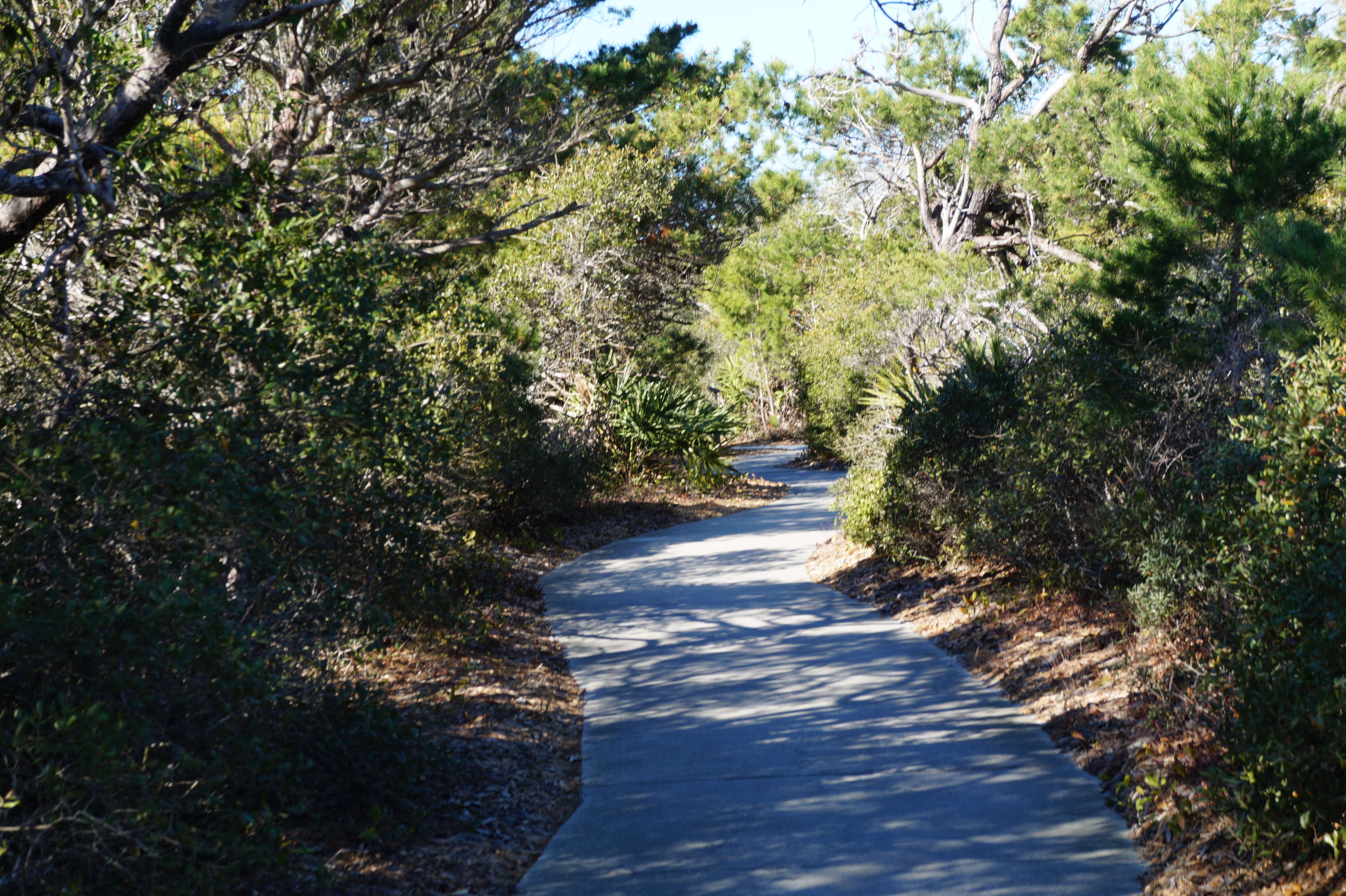 Destin, Fl 3.4.16 066