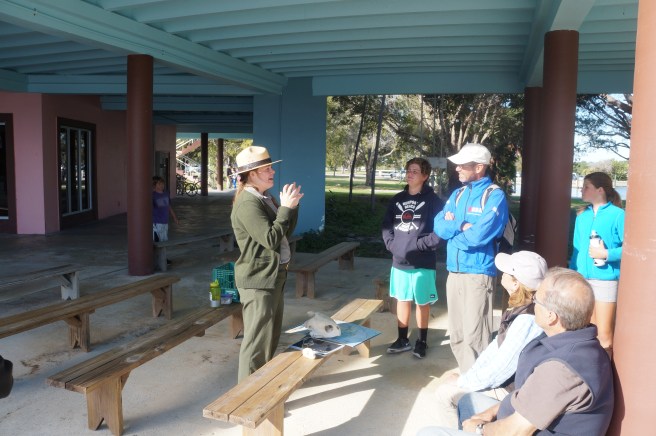 Everglades Feb 8. 2016 033