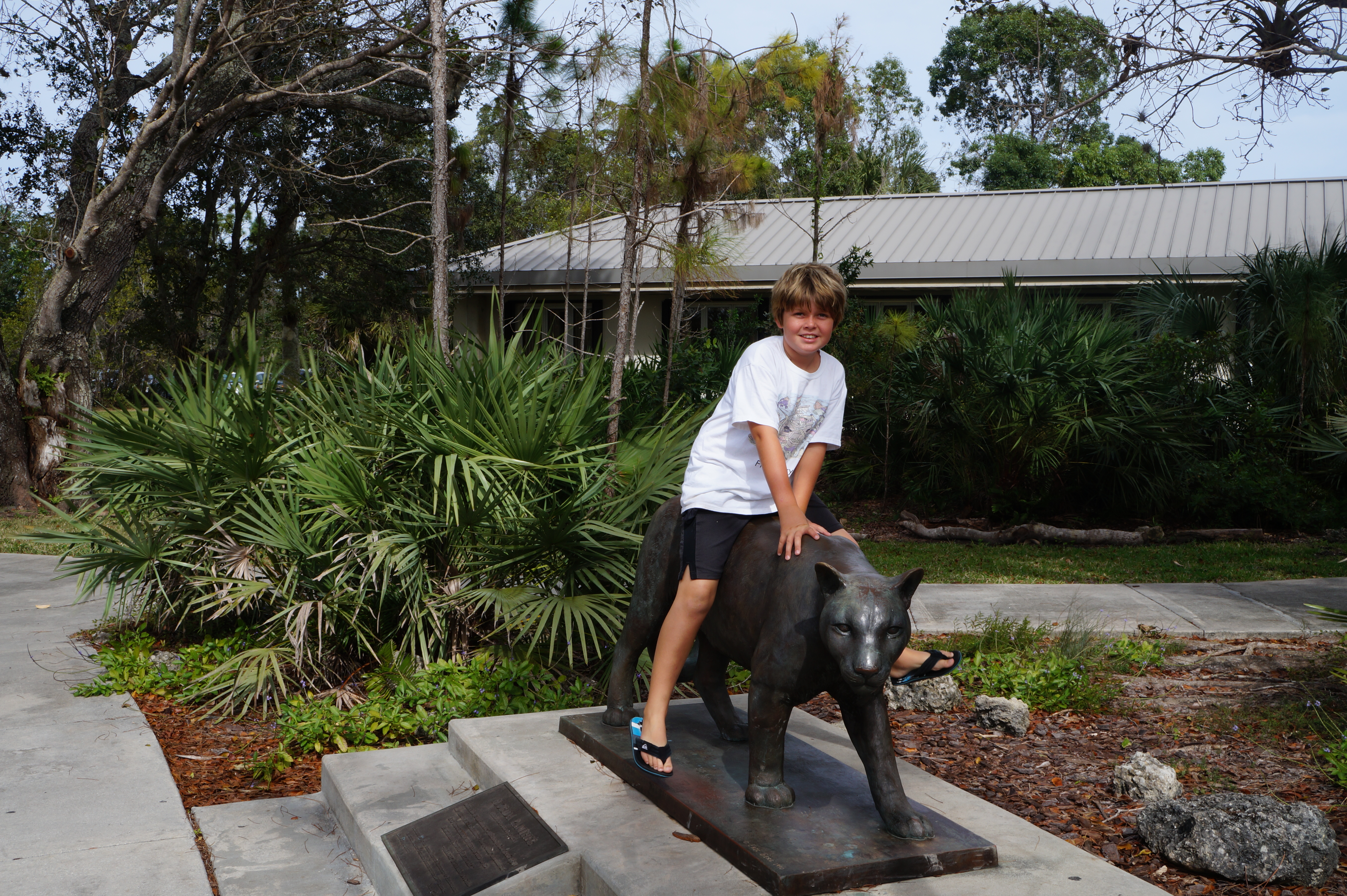 Everglades Feb 8. 2016 084