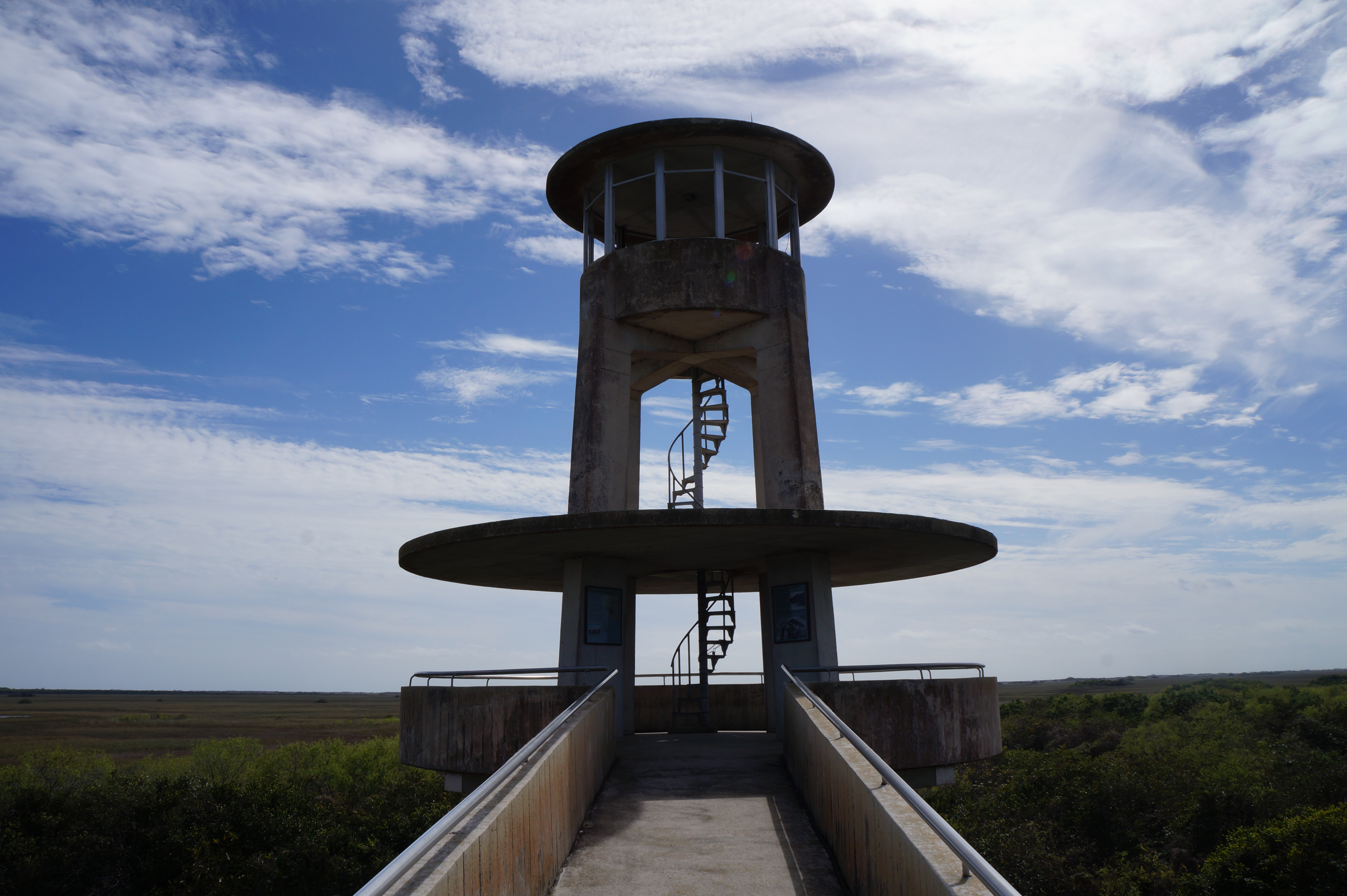 Everglades Feb 8. 2016 140