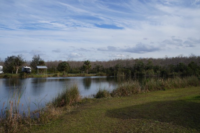 Everglades Feb 8. 2016 172
