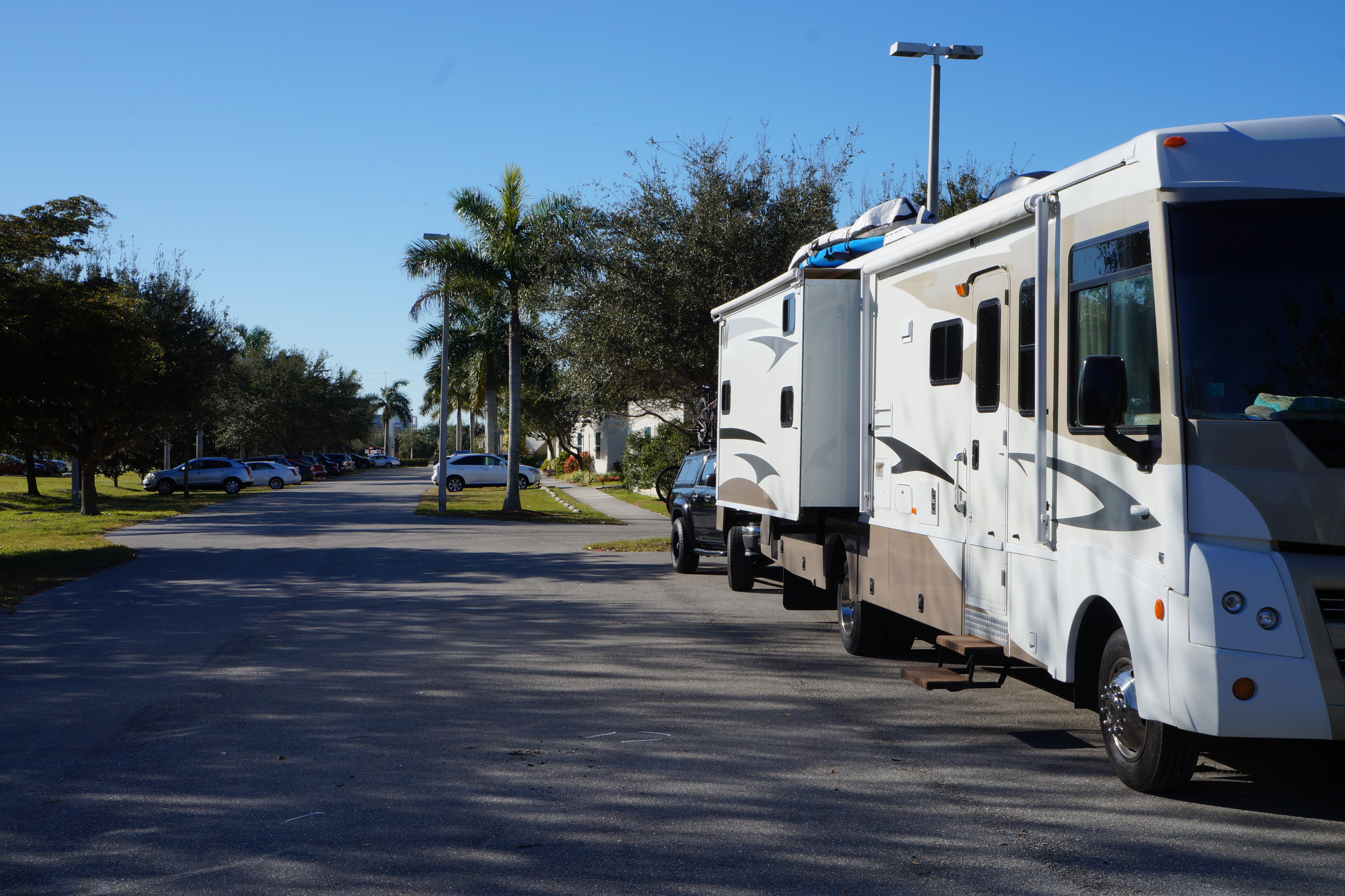 Florida Lake Manatee 2.16.16 006