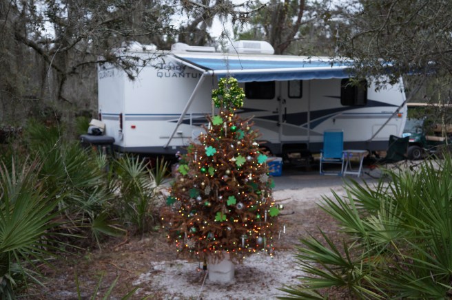 Florida Lake Manatee 2.16.16 029