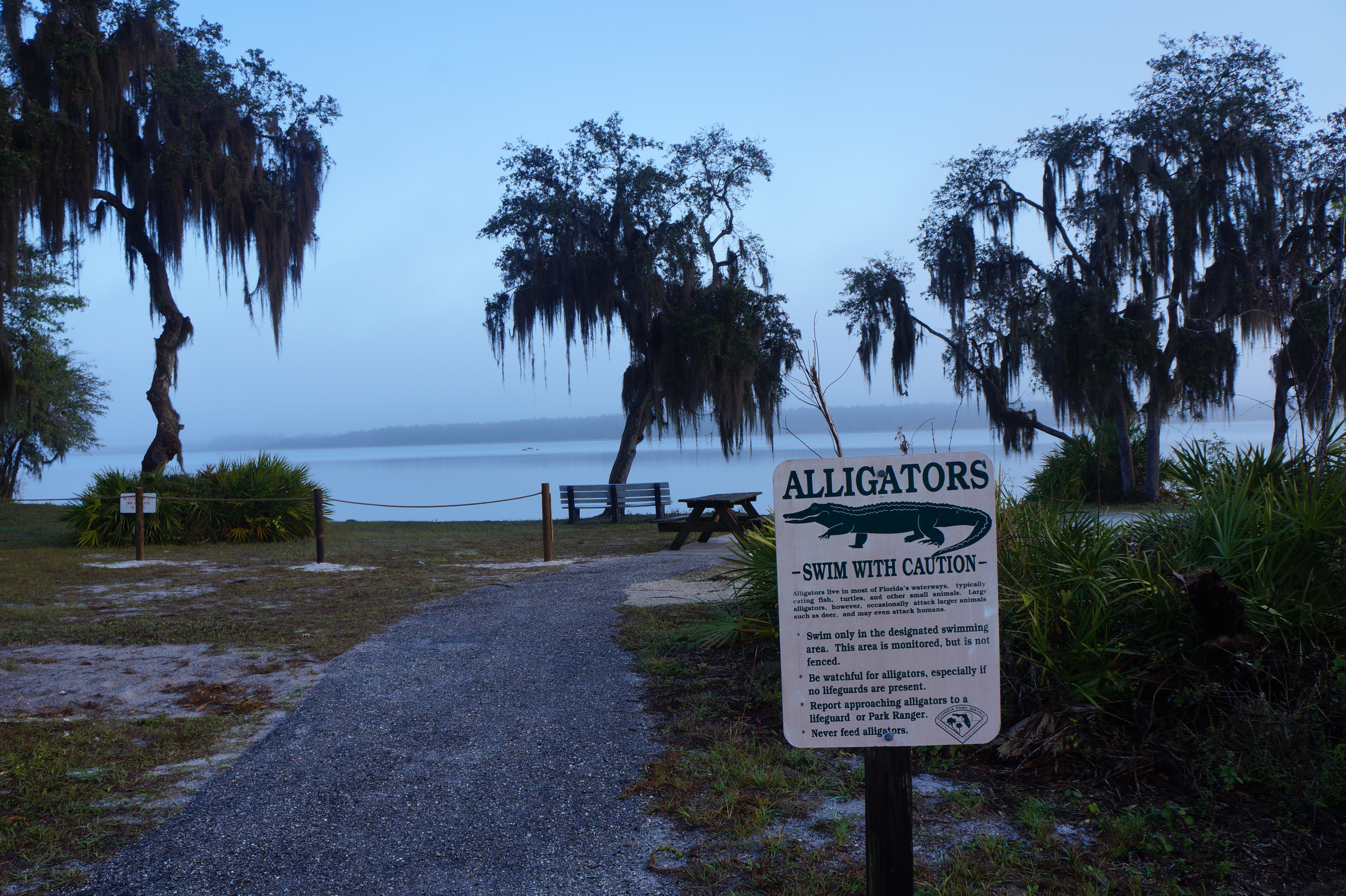 Florida Lake Manatee 2.16.16 055