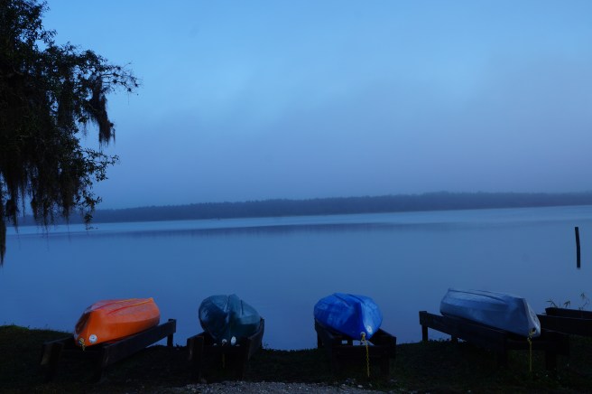 Florida Lake Manatee 2.16.16 057