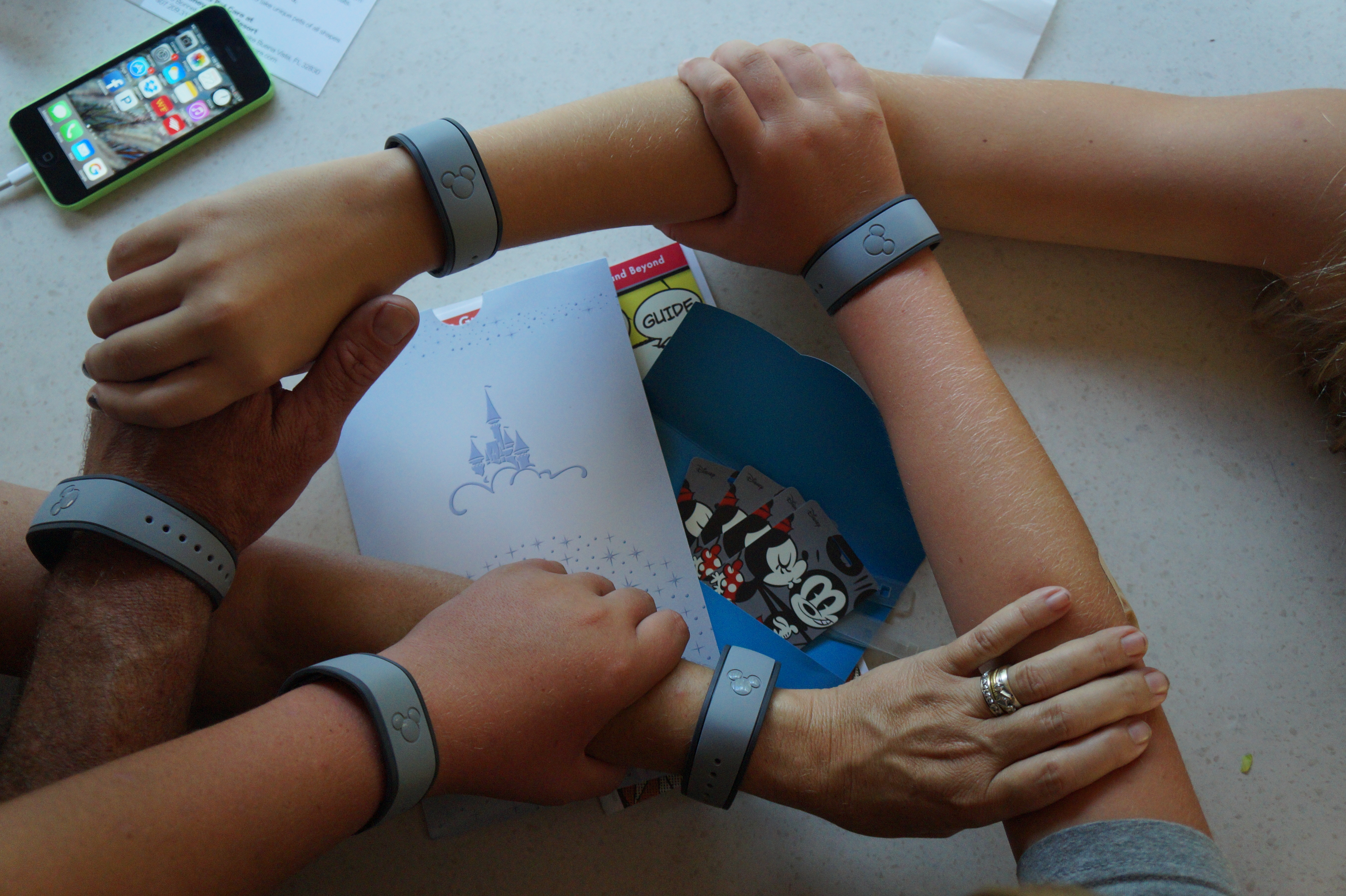 Nokomis to Orlando FL 2.24.16 056