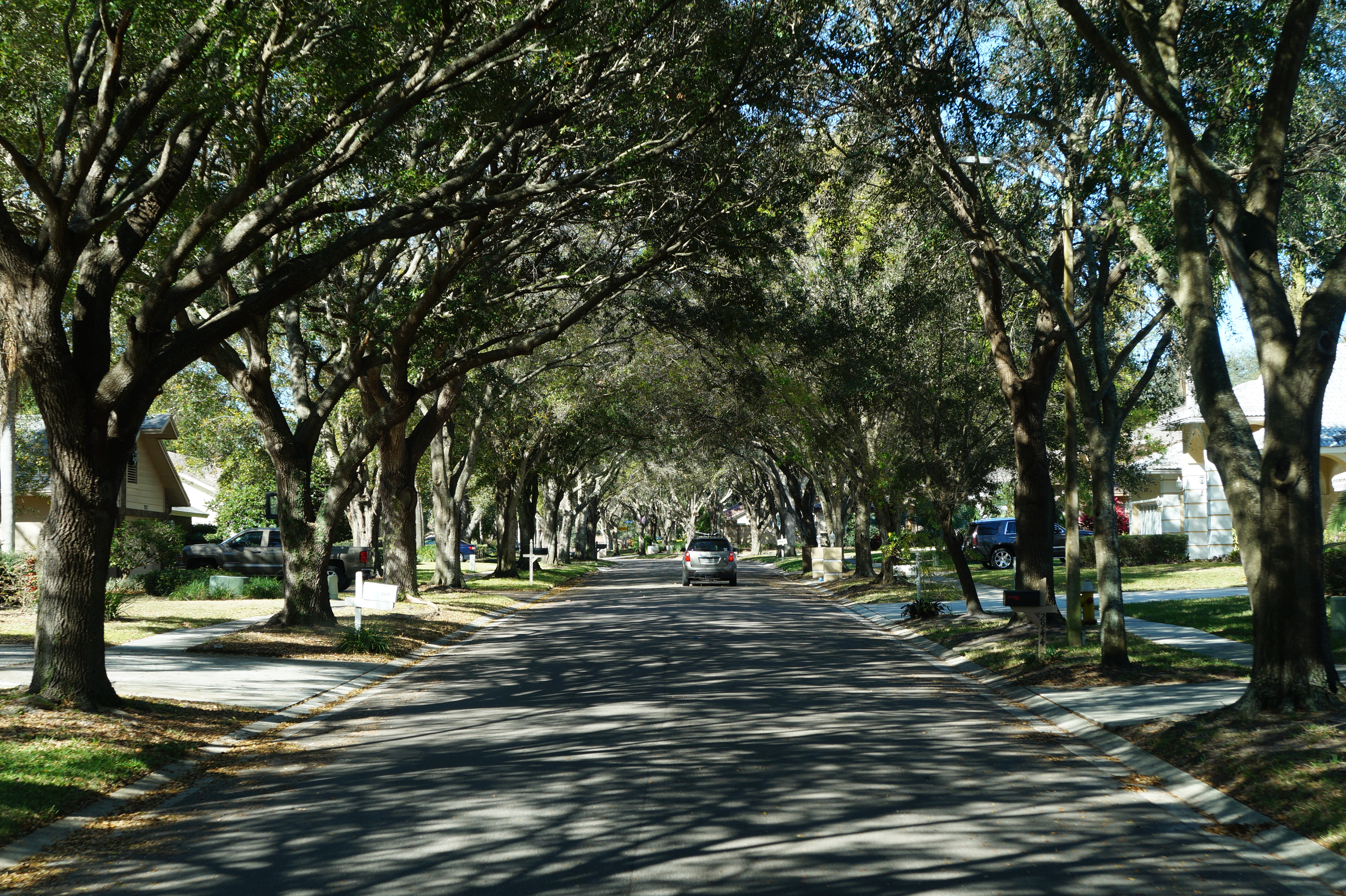 Sarasota, Clearwater, Tampa 2.16.16 010