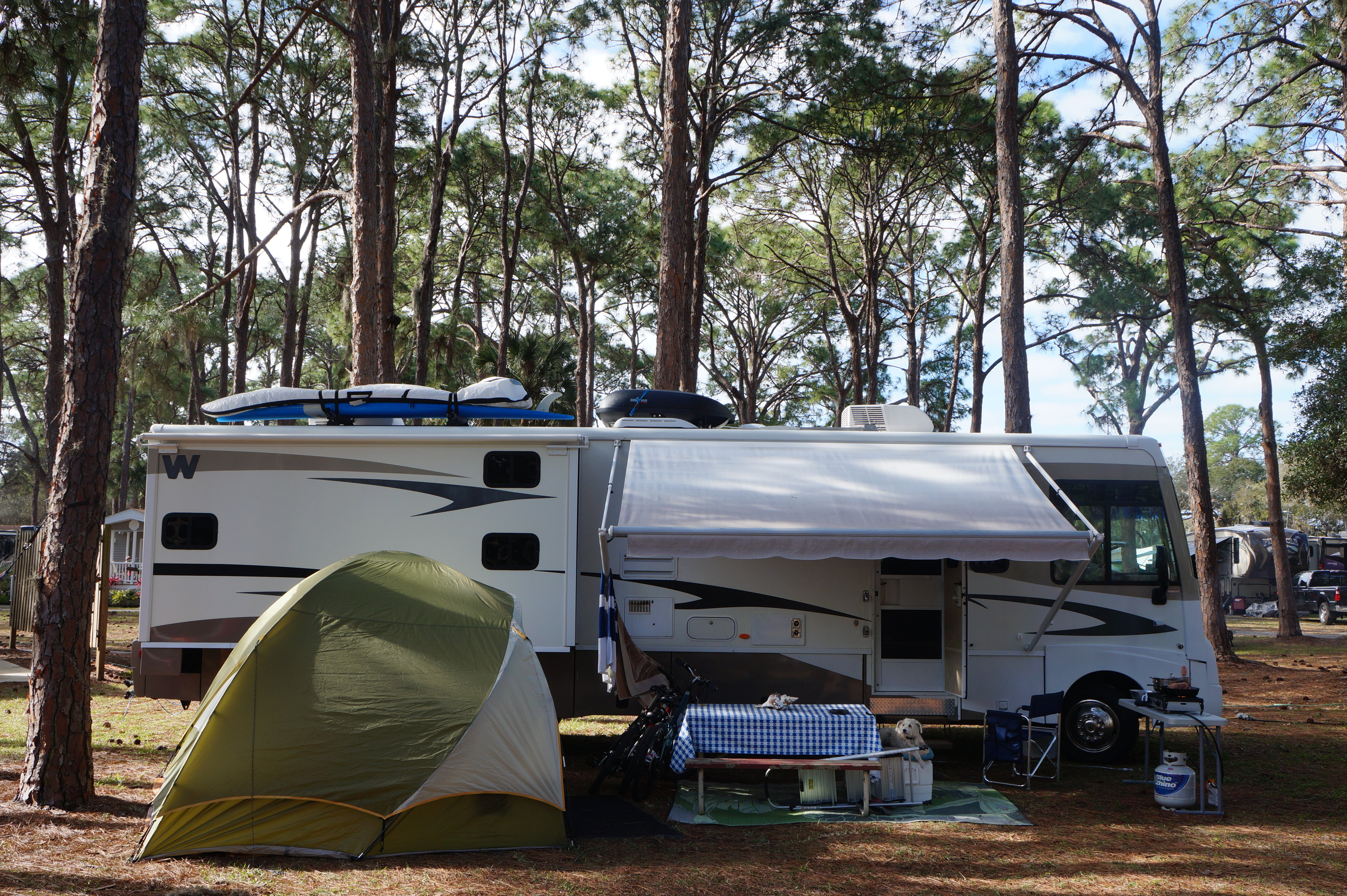 Sarasota, Clearwater, Tampa 2.16.16 033