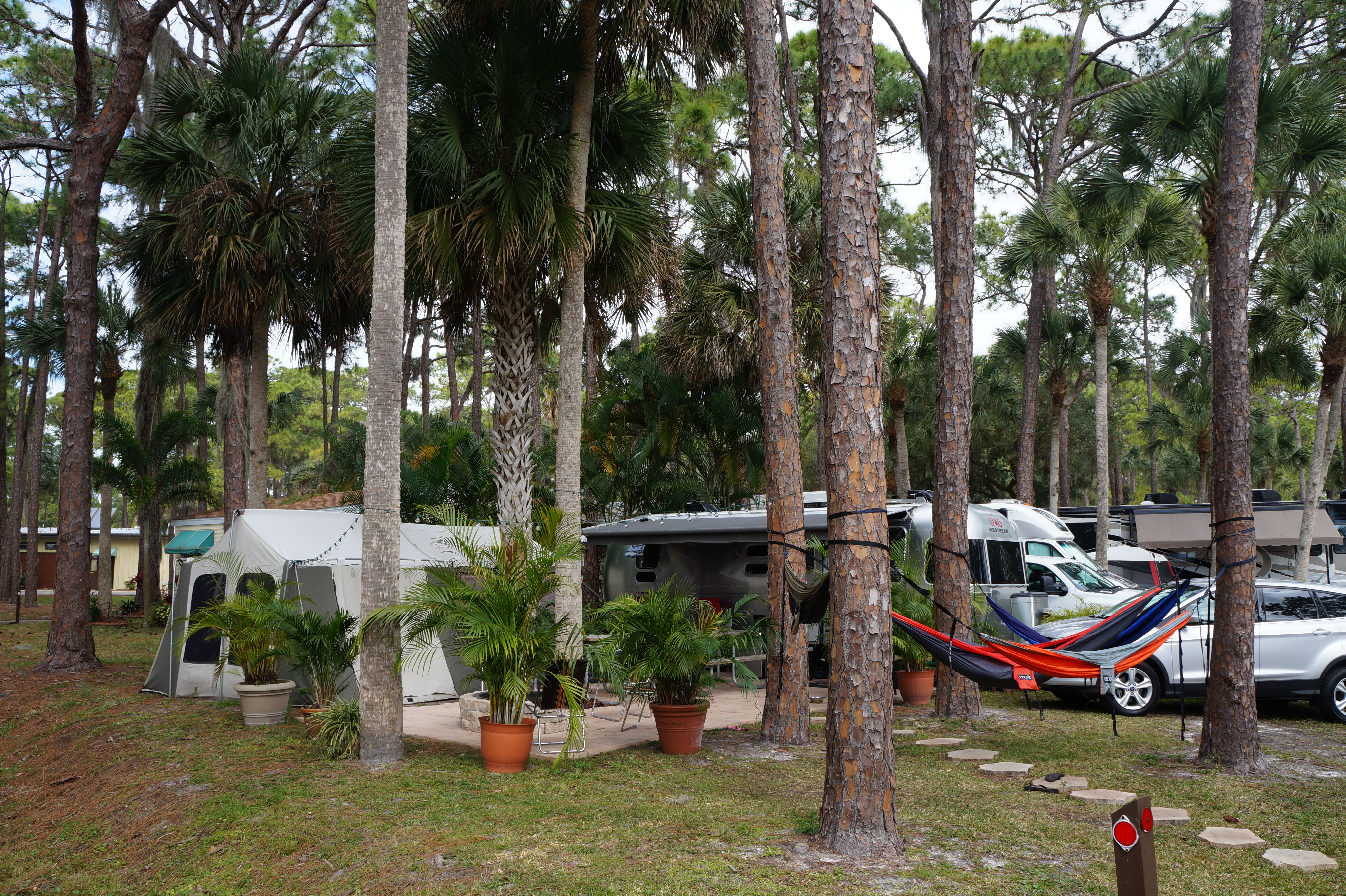 Sarasota, Clearwater, Tampa 2.16.16 035