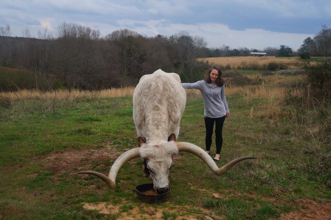 Tee Green's Dirt Day 3.12.16 340