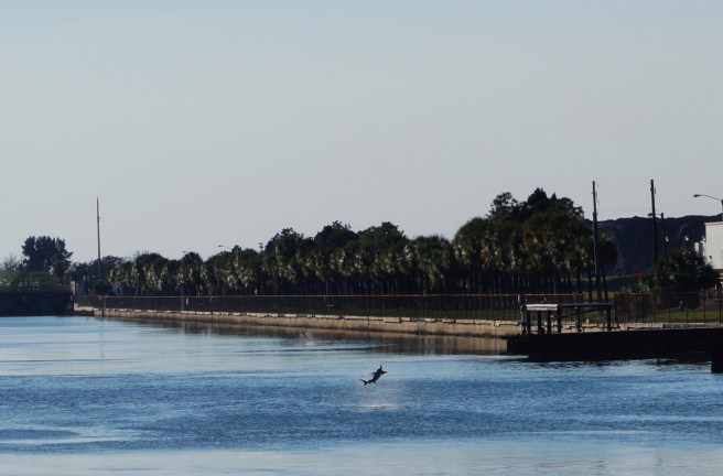 The Dalton's - E.G. Simmons County Park 2.17.16 062