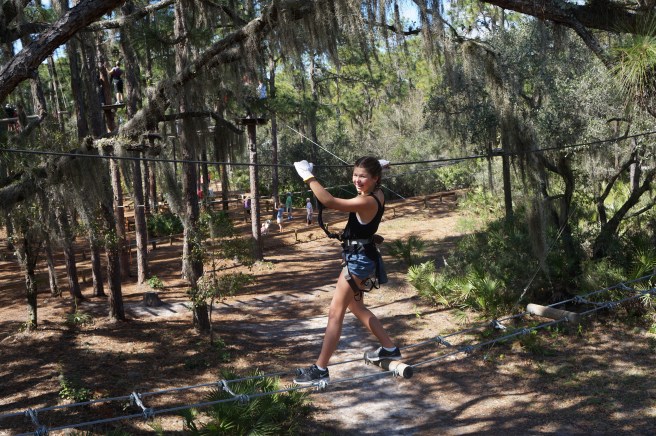 Tree Umph, Bradenton Fl, 2.16.16 009