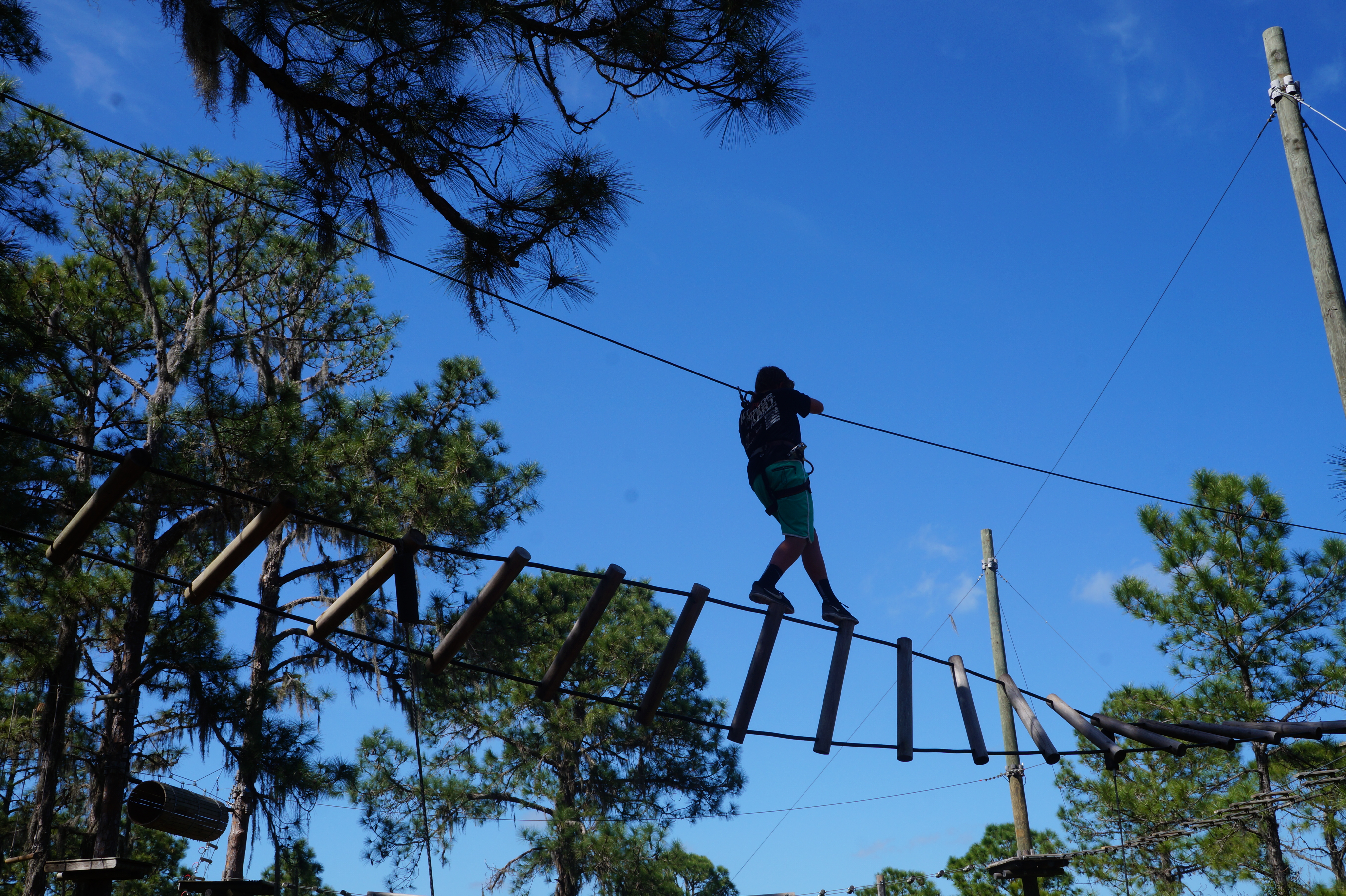 Tree Umph, Bradenton Fl, 2.16.16 030