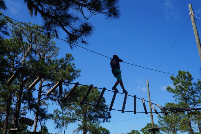Tree Umph, Bradenton Fl, 2.16.16 030