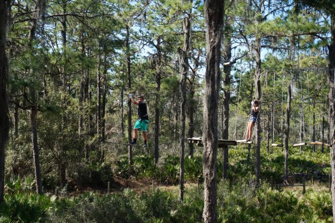 Tree Umph, Bradenton Fl, 2.16.16 047