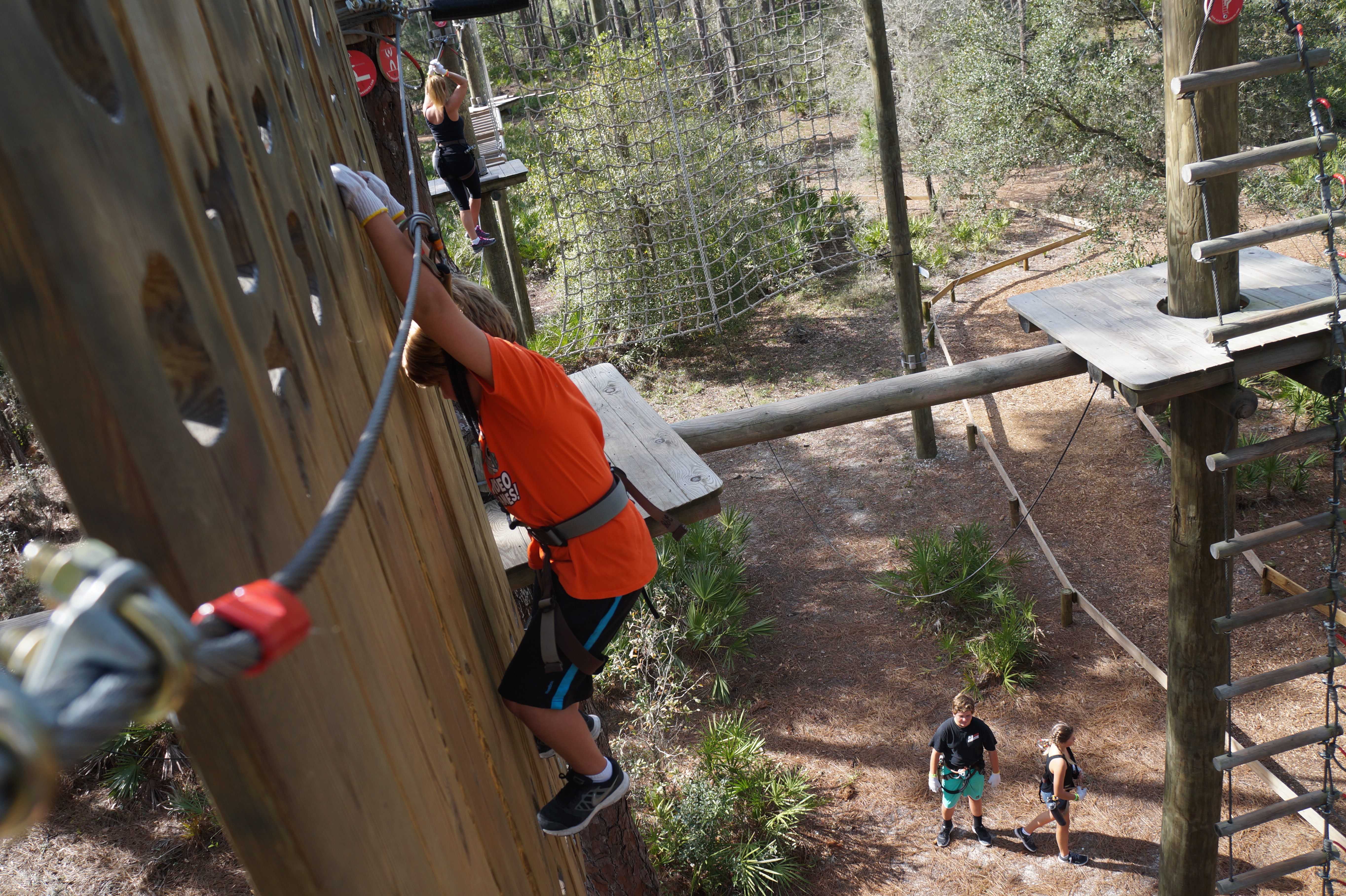 Tree Umph, Bradenton Fl, 2.16.16 058