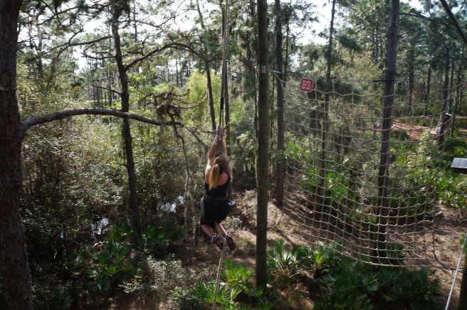 Tree Umph, Bradenton Fl, 2.16.16 065