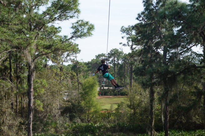 Tree Umph, Bradenton Fl, 2.16.16 080