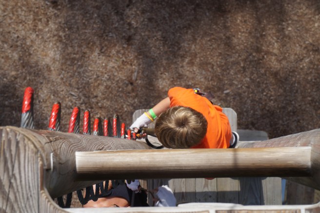 Tree Umph, Bradenton Fl, 2.16.16 094