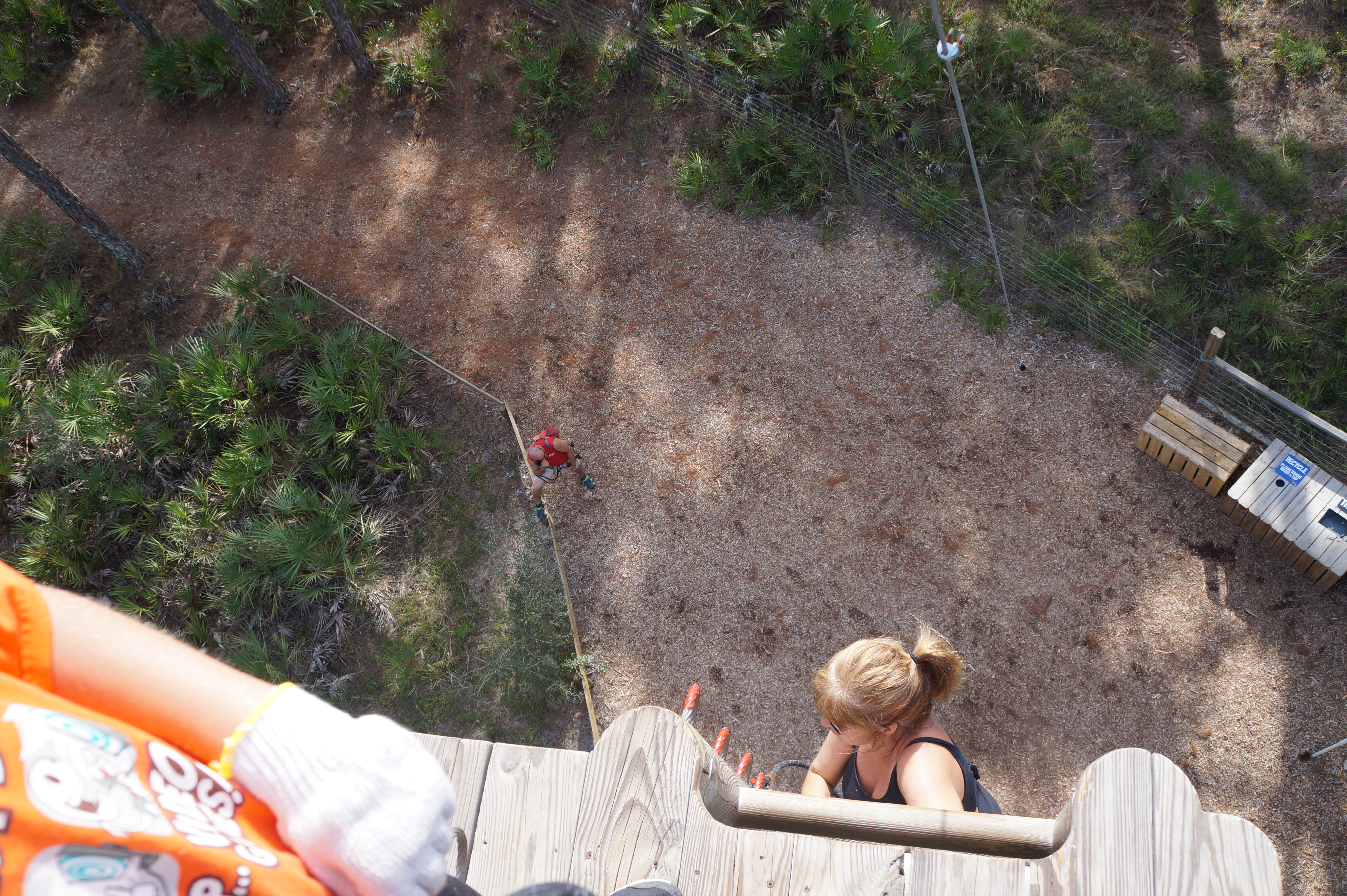 Tree Umph, Bradenton Fl, 2.16.16 095