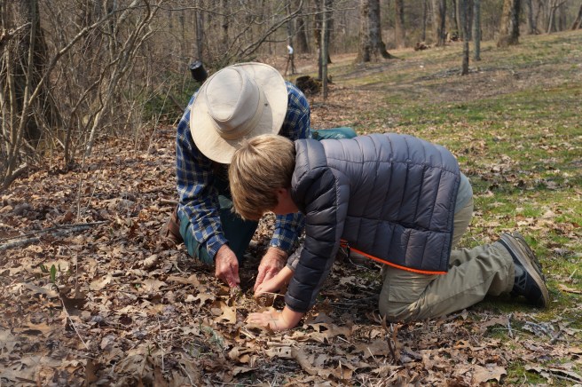 Georgia, Cuz Clyde. Tennessee3.18 047