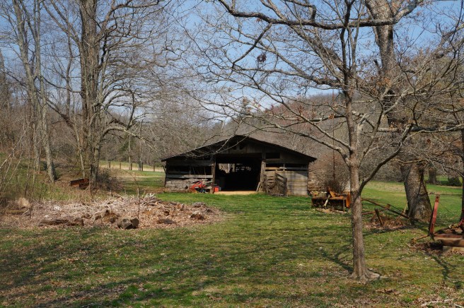 Georgia, Cuz Clyde. Tennessee3.18 053